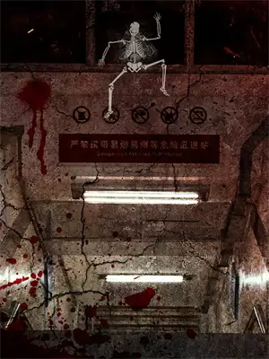 女帝的自我修养运气